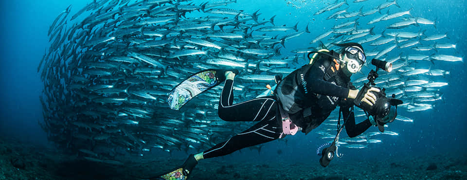 QYSEA FIFISH P3 Underwater Robot